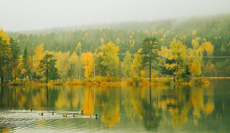 Mùa thu ở hồ Sognsvann, Oslo, Na-uy